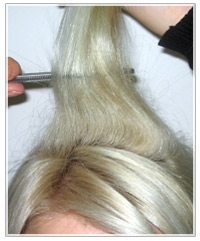 Backcombing with tail comb